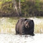 Lotteries and Gaming Saskatchewan