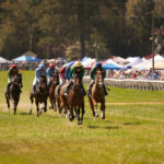 horse racing