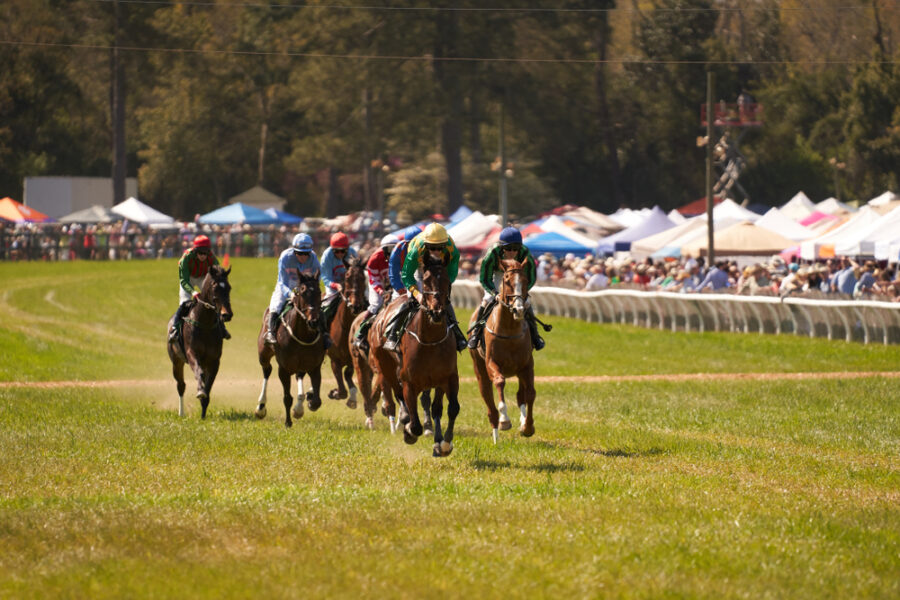 horse racing