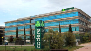 Codere blames pesos for problems