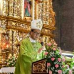 Cardinal Pablo David