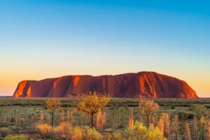 Australian lawmakers call for inquiry into the Northern Territory Racing and Wagering Commission