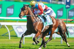 Hong Kong Jockey Club World Pool turnover rose 20% in 2025