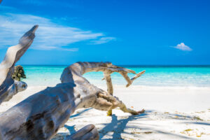 Philippine district official accused of online gambling with public funds