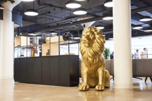 ‘A pretty tremendous year’ for BetMGM, execs say