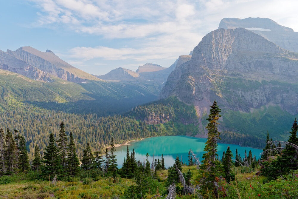 Montana