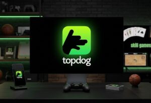 Topdog raises US$2.5 million seed round to scale real-time multiplayer skill gaming